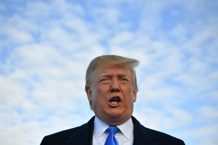 President Donald Trump promised to disrupt domestic and foreign policy, but as he seeks a second term, what's his performance been?