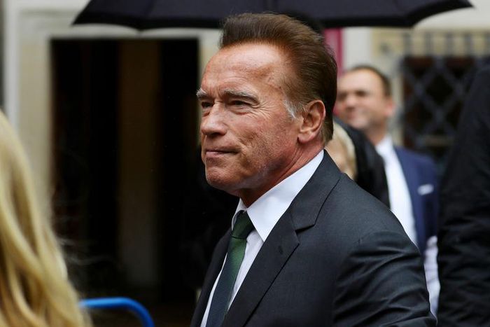 Arnold Schwarzenegger Tweets Back at Donald Trump