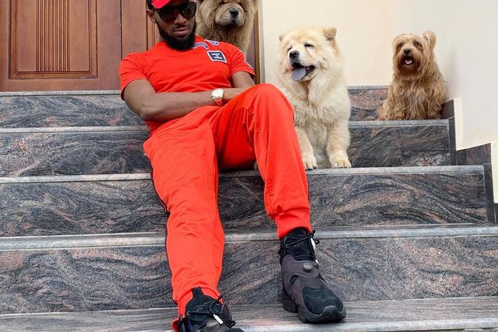 D'Banj releases video for 'Shy.' (Instagram/iambangalee)