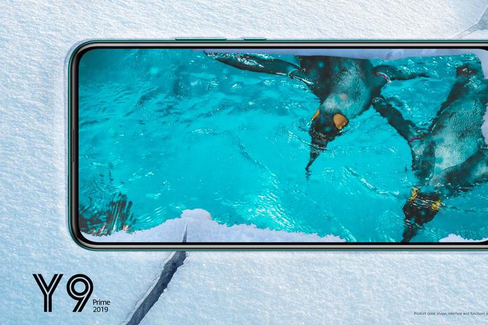 5 cool things you can do with the HUAWEI Y9 Prime 2019 camera