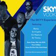 SKYY Vodka to host fans to the Skyy Experience