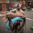 More than 1.8 million people in the Central African Republic are "in a situation of acute food insecurity," the World Food Programme says