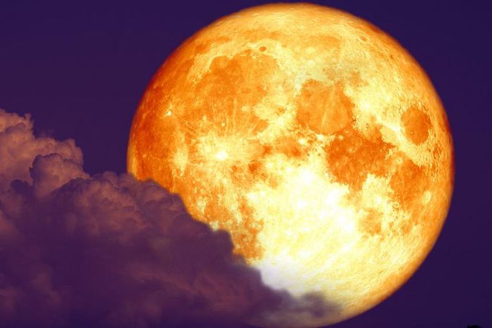 What The New Moon In Leo Means For Your Sign