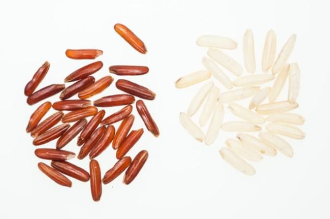 Image source: stock photo