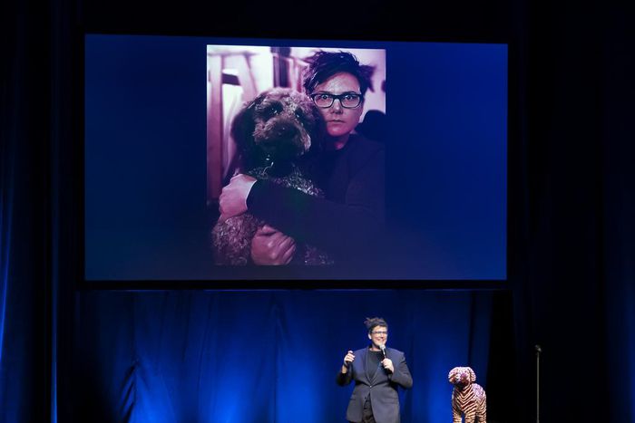 Is Hannah Gadsby's 'Douglas' Stand-Up? Theater? Yes, Please.