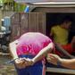 Inmates being transferred after a deadly riot at a prison in the Brazilian northern city of Altamira, Para State: 58 inmates died in the unrest and another four suffocated to death during the subsequent transfer