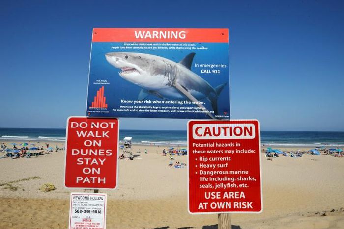 Swim and surf at your own risk, the sign at the entrance to Newcomb Hollow Beach warns