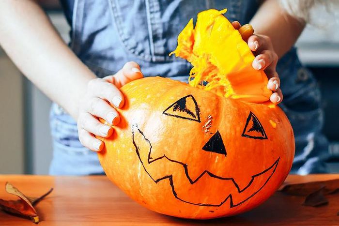 Dr. Pimple Popper Says 'Hasta Lipoma' in New Video