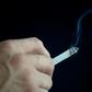 A growing number of restaurants and cafes in Austria had already banned smoking of their own accord before it was officially banned