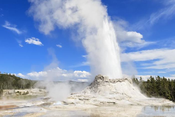 Dr. Pimple Popper Shared 3 Epic Pops This Weekend