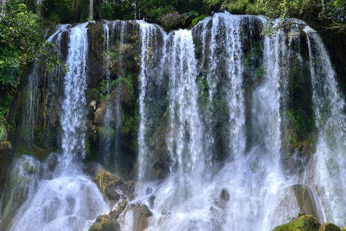 Here's Why Some Women Always Have to Pee