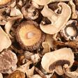 Is Mushroom Jerky Good for You?