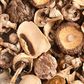 Is Mushroom Jerky Good for You?