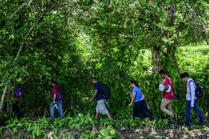 Central Americans migrants heading for the US strive to avoid detection by Mexican migration authorities at the outskirts of Huixtla in Chiapas state