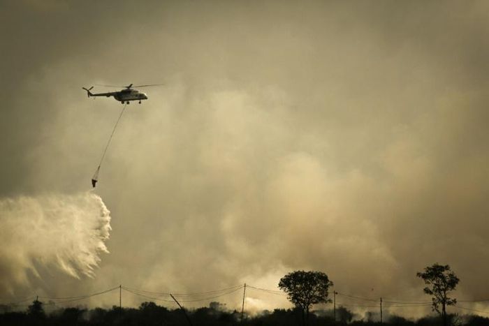 Fires on Indonesia's Sumatra island and the Indonesian part of Borneo island have caused wide-reaching smog
