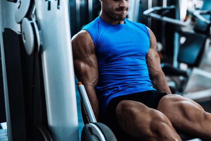 Your Definitive Guide to Leg Extensions