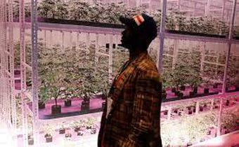 Marijuana legalization isn't dead yet in New York