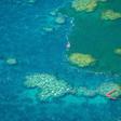 Conservationists warn the controversial mine would threaten the World Heritage-listed Barrier Reef