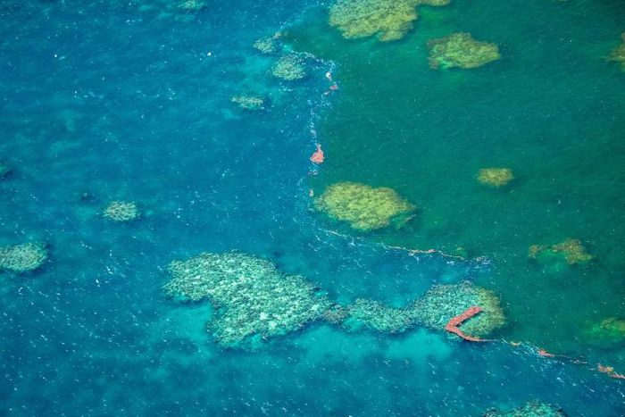 Conservationists warn the controversial mine would threaten the World Heritage-listed Barrier Reef