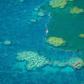 Conservationists warn the controversial mine would threaten the World Heritage-listed Barrier Reef