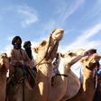 Humps on the stump: Camel-riding supporters attend a UPR rally in Chinguetti, an ancient Berber trading centre in central Mauritania