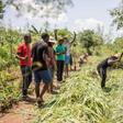 The programme aims to teach basic, traditional ways of agriculture to those who have forgotten or never known a life on the land