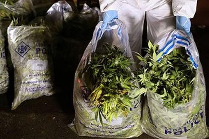 Bags of cannabis seized in a drugs raid were reportedly left in a hire van used (Independent)