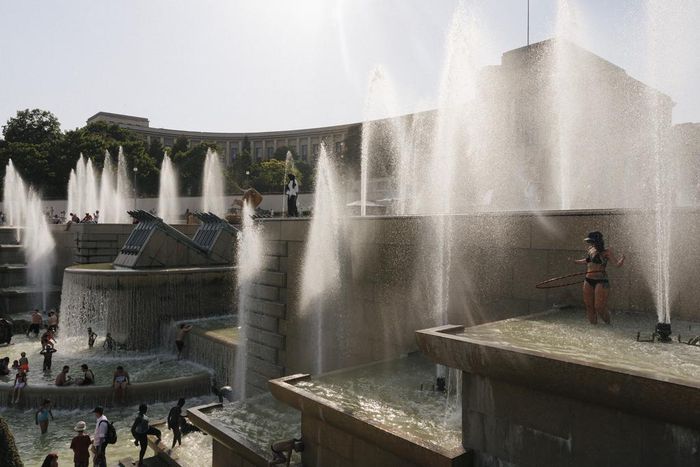 How Hot Was July? Hotter Than Ever, Global Data Shows