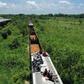 Aerial view of migrants on a train known as "The Beast," which takes them to the tourist town of Palenque
