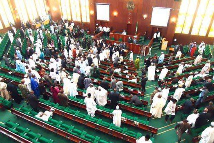 Rowdy session at the House of Representatives [Twitter]