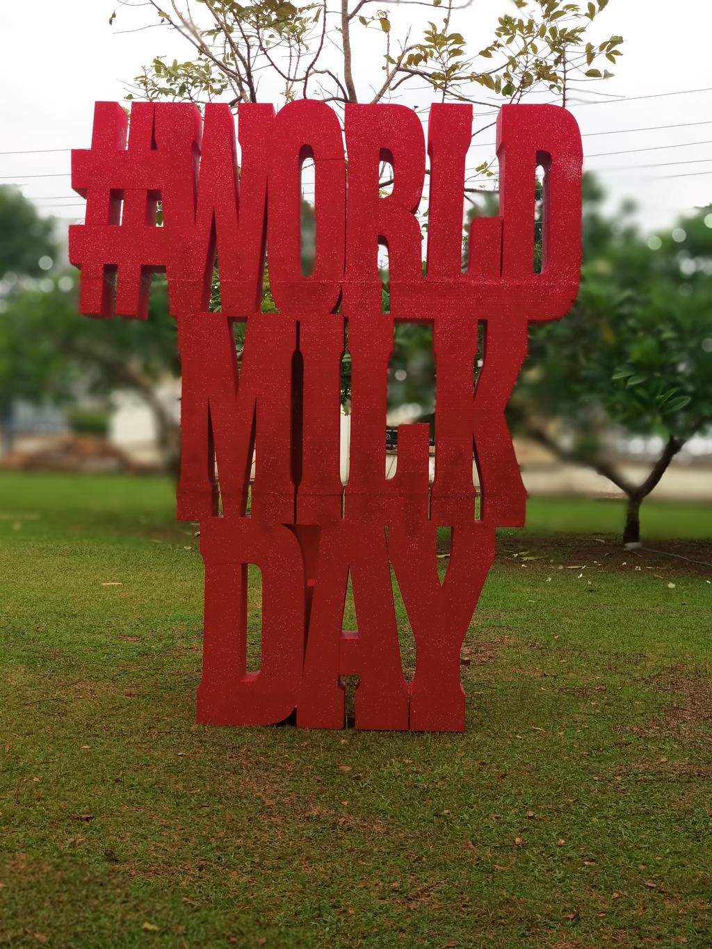 Consumers enjoy dairy on the farm with Arla Dano on World Milk Day