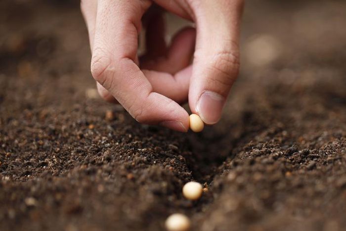 Dr. Pimple Popper Removes Pilar Cyst From Scalp