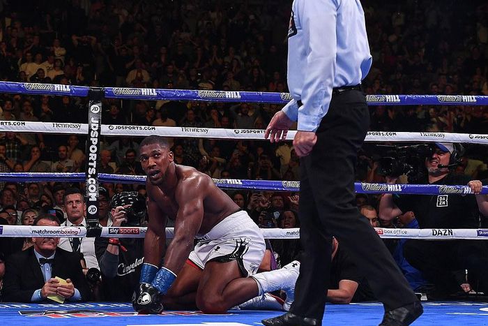 Anthony Joshua (Kevin Quigley/Daily Mail)