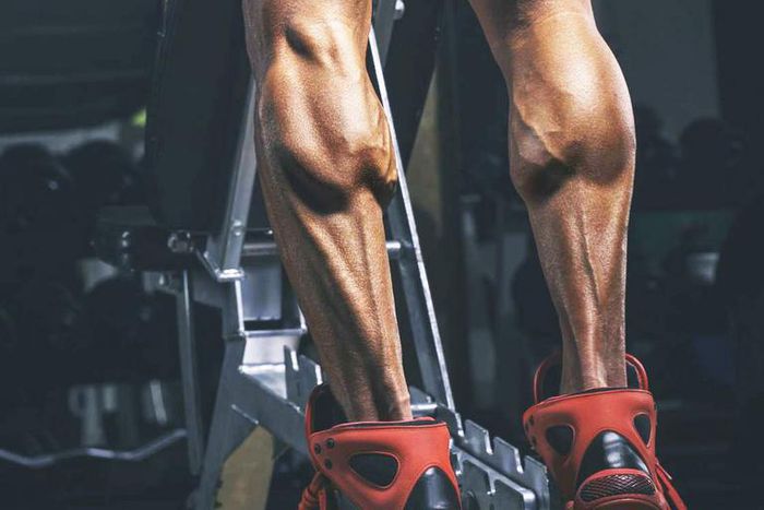 Build Massive Calves With These Workouts