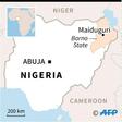 Multiple inhabitants of Gajiganna village, 50 kilometres (30 miles) from state capital Maiduguri, said a military jet targeted jihadists from the Islamic State West Africa Province (ISWAP) after they attacked a nearby military base