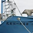 Japan whaling ships set sail for the first commercial hunts in over three decades, with their harpoons covered while in port