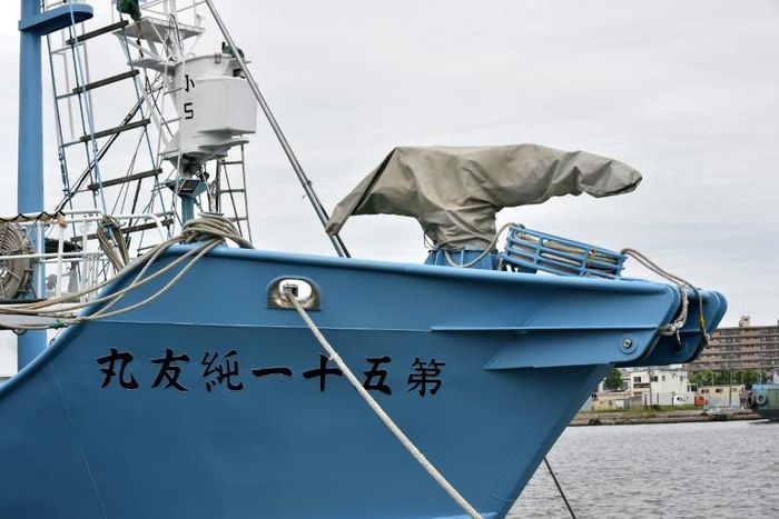 Japan whaling ships set sail for the first commercial hunts in over three decades, with their harpoons covered while in port
