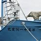 Japan whaling ships set sail for the first commercial hunts in over three decades, with their harpoons covered while in port