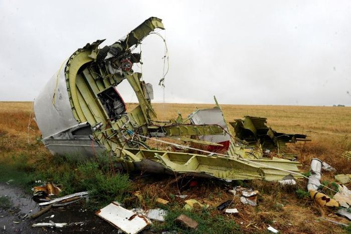 Malaysia Airlines Flight MH17 went down in a rebel-held area of eastern Ukraine in July 2014