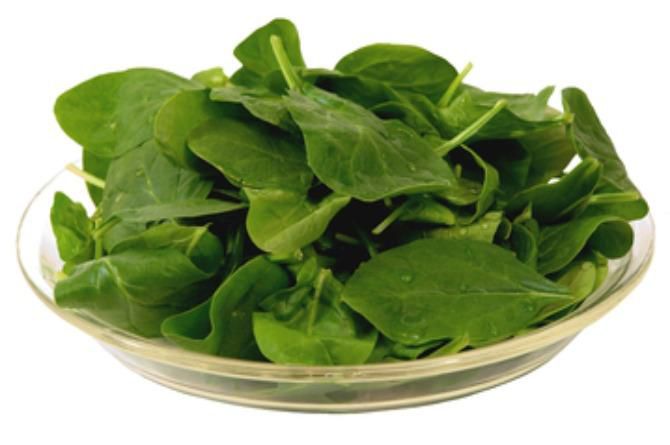 Image source: stock photo