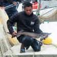 The sturgeon that produce the caviar roe are kept in Lake Mantasoa, perched at an altitude of 1,400 metres east of the capital Antananarivo