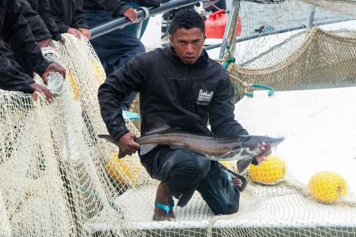 The sturgeon that produce the caviar roe are kept in Lake Mantasoa, perched at an altitude of 1,400 metres east of the capital Antananarivo