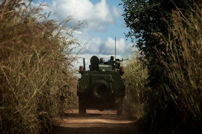Fighters from the former rebel movement Renamo have started turning in their guns to honour a peace deal struck with the Mozambique government