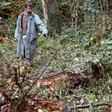 French farmer Philippe Gava found the bodies of four babies near Galfingue, eastern France in 2003