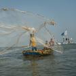 The fishing industry is critical for Ghana, but stocks are dwindling and the authorities are trying to stem the losses