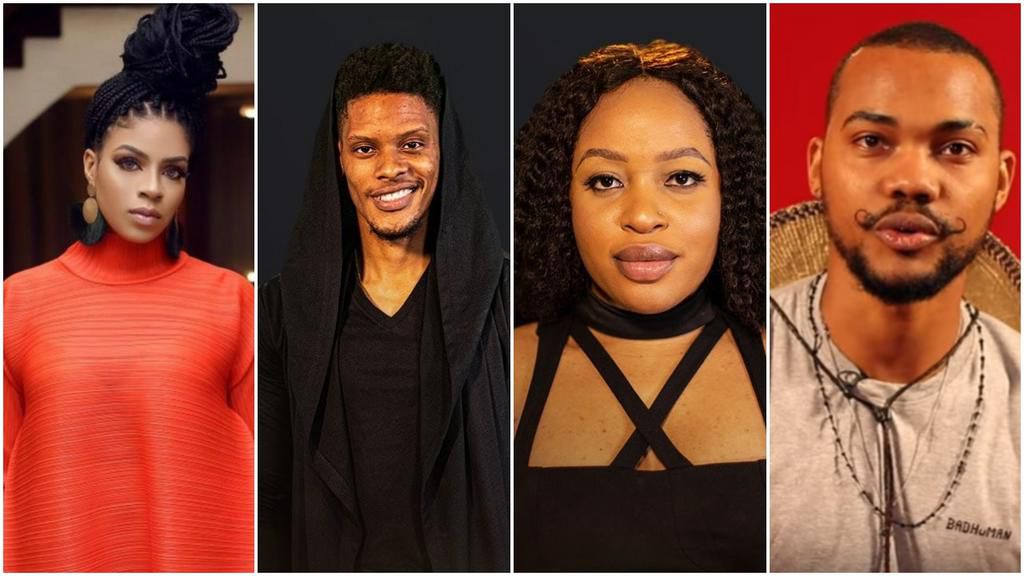 Two more housemates have joined the remaining BBNaija 2019 Pepper Dem edition barely 24 hours after Biggie admitted Venita Akpofure and Elozonam [PULSE]
