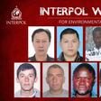 A picture released by Interpol shows the seven individuals wanted for alleged environmental crimes