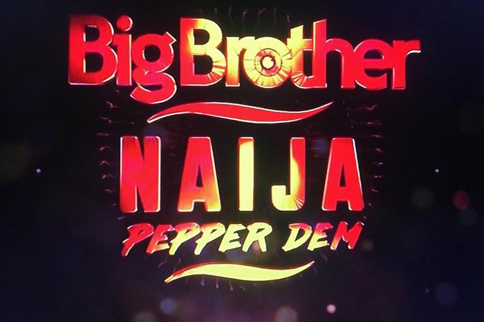 The much awaited season four of BBNaija kicked off on Sunday, June 30, 2019, in Lagos and the atmosphere filled with so much adrenaline rush [PULSE]