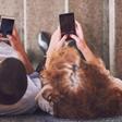 Cell Phones May Cause 'Horns' to Grown on Skulls