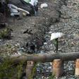 Coming mostly from tap and especially bottled water, nearly invisible bits of polymer were also found in shellfish, beer and salt, a report by scientists and the University of Newcastle in Australia found